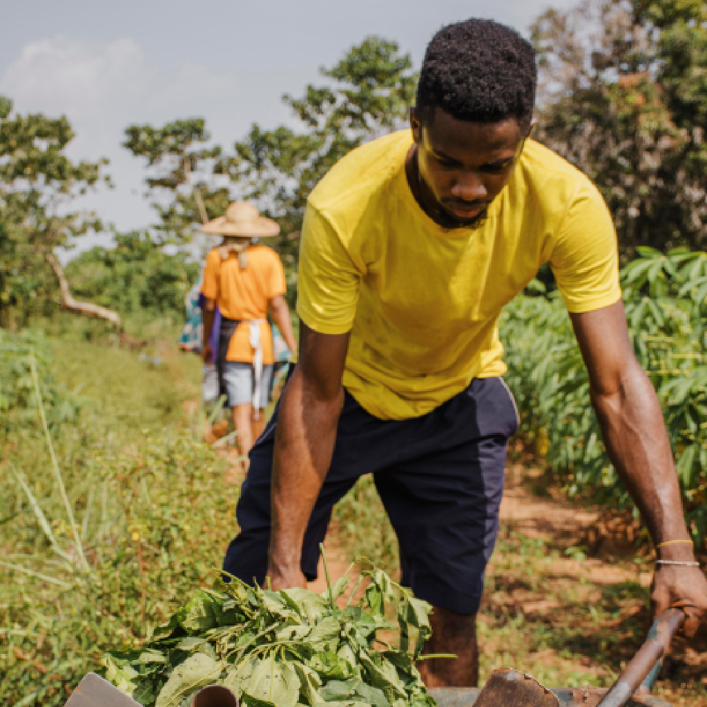 Sustainability Programs