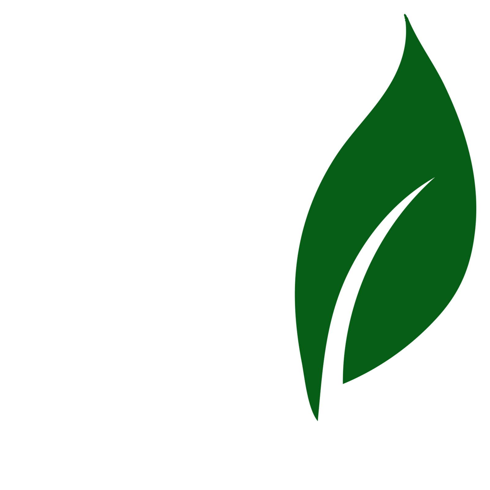 Green Leaf infront shirt - on white