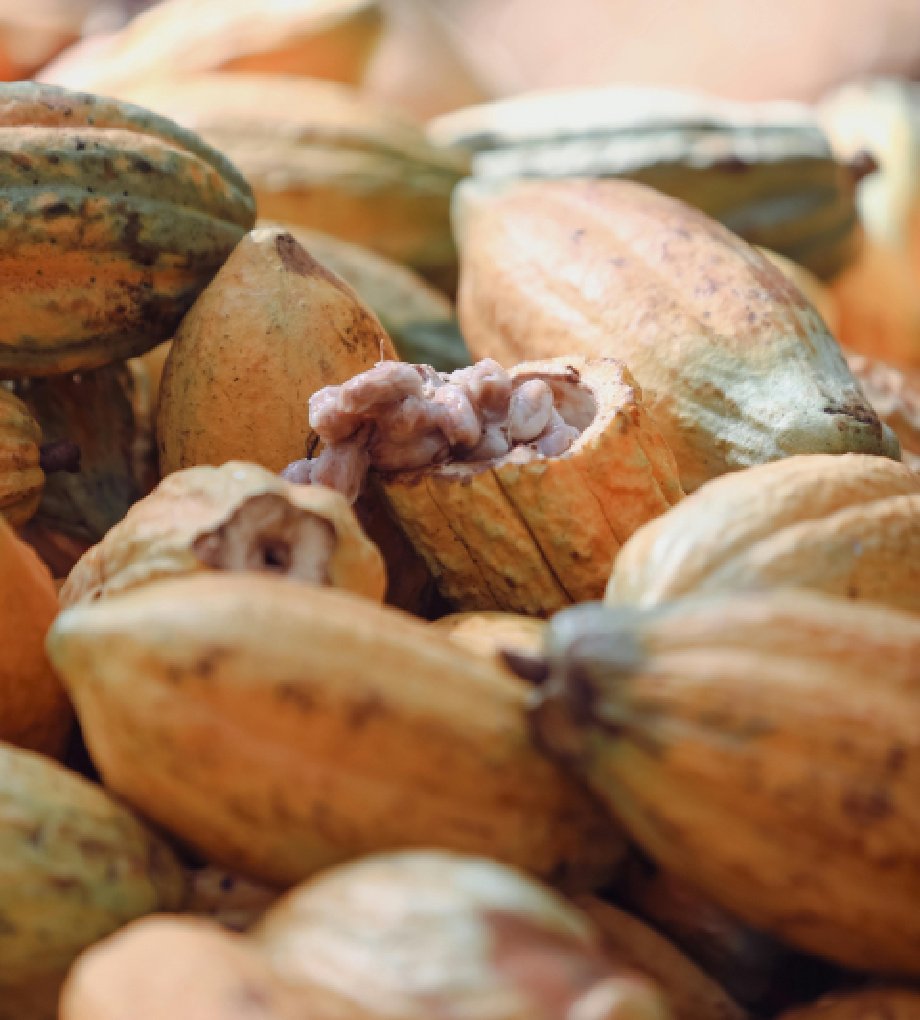 Commodity Supply Chain MGT